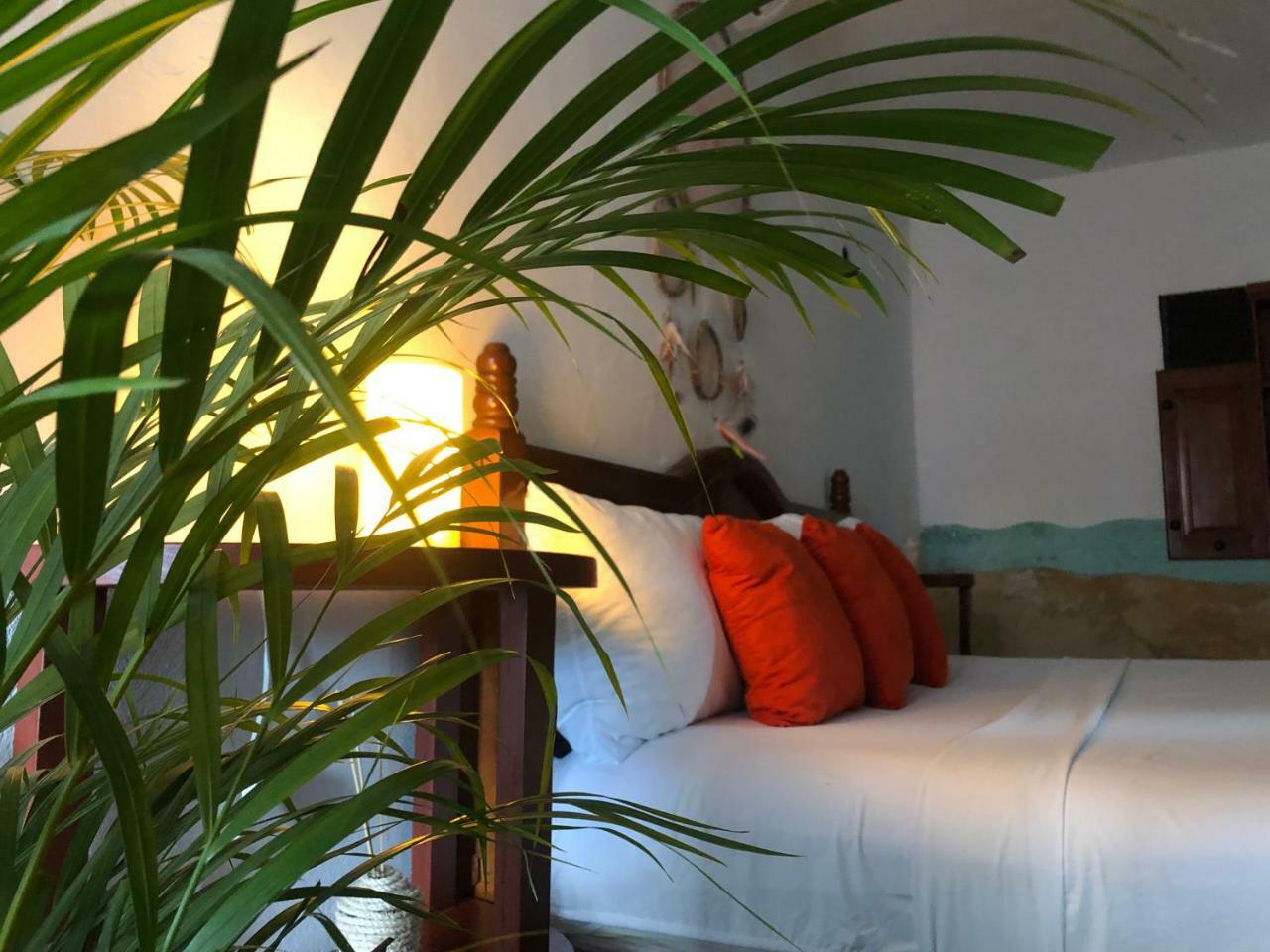 Marvin Suites Holbox Extérieur photo